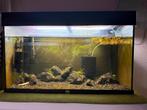 Juwel rio 125, Dieren en Toebehoren, Vissen | Aquaria en Toebehoren, Ophalen, Gebruikt, Leeg aquarium