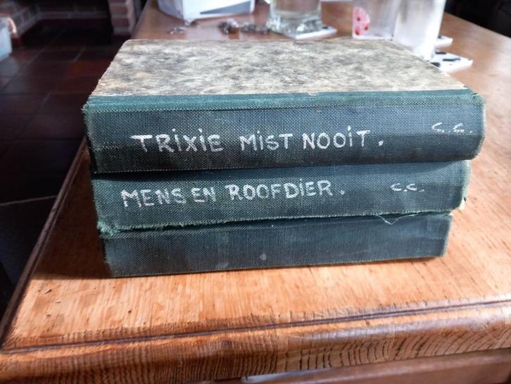 Kluitman thriller, Boeken, Kinderboeken | Jeugd | 10 tot 12 jaar, Zo goed als nieuw, Ophalen of Verzenden