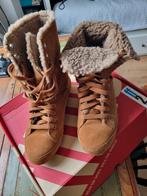 Fitflop polar sneakers nubuck gevoerd leer mt 40, Kleding | Dames, Bruin, Ophalen of Verzenden, Fitflop, Sneakers of Gympen