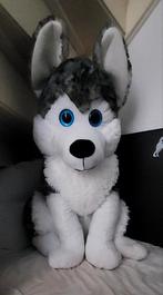 Zeer grote Husky knuffel, Kinderen en Baby's, Speelgoed | Knuffels en Pluche, Ophalen, Overige typen