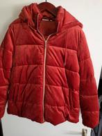 Super mooie warme velvet winterjas mt 42 nieuwstaat, Ophalen of Verzenden, Zo goed als nieuw, Maat 42/44 (L)