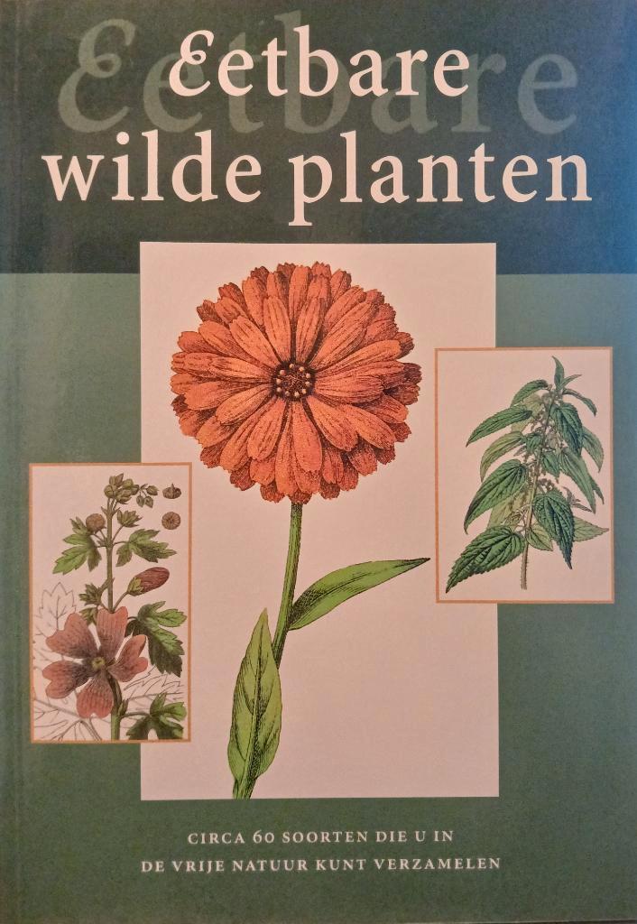 Eetbare wilde planten - Louis de Koning, Boeken, Gezondheid, Dieet en Voeding, Nieuw, Kruiden en Alternatief, Ophalen of Verzenden