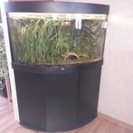 Tekoop complete hoek aquarium  80cm bij  80  cm, Ophalen of Verzenden, Gevuld zoetwateraquarium