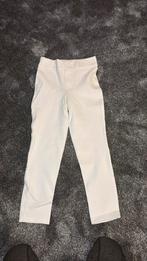 Wedstrijd broek, Dieren en Toebehoren, Paardrijkleding, Ophalen of Verzenden, Dressuur, Onderkleding