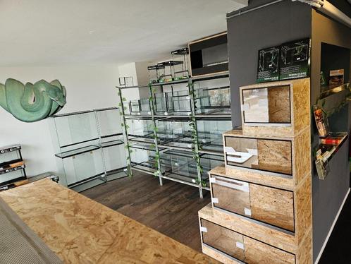 Terrarium Nieuw, Dieren en Toebehoren, Reptielen en Amfibieën | Toebehoren, Nieuw, Terrarium of Paludarium, Ophalen