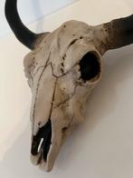 Stoere decoratieve stier schedel met hoorns –zware kwaliteit, Ophalen of Verzenden, Nieuw