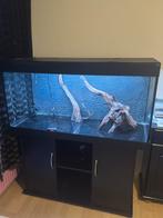 Juwel Rio 350 ltr, eheim pomp + heater, dag nacht simulatie, Dieren en Toebehoren, Vissen | Aquaria en Toebehoren, Ophalen, Gebruikt