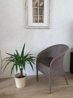 Vincent Sheppard Fauteuil Nieuw Staat, Ophalen of Verzenden, Zo goed als nieuw, Riet of Rotan, Vincent Shepard
