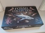 Fossielen Collectie, Verzamelen, Mineralen en Fossielen, Ophalen of Verzenden, Fossiel
