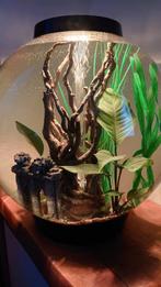 biOrb CLASSIC 60 MCR zwart
Aquarium, Dieren en Toebehoren, Ophalen, Gebruikt, Leeg aquarium
