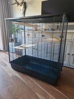 Kooi voor ratten/fretten/chinchilla's/vogels, Ophalen, Kooi, Zo goed als nieuw, 90 cm of meer