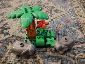 DUPLO DIERENTUIN BABY OLIFANTEN beschikbaar voor biedingen