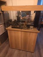 Juwel aquarium Rio 125 ligt hout, Dieren en Toebehoren, Ophalen, Gebruikt, Leeg aquarium