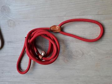 COLLAR & LEAD Rode slipriem voor puppy verstelbaar ZGAN beschikbaar voor biedingen