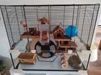 Hamsterkooi met toebehoren, Dieren en Toebehoren, Kooi, Minder dan 75 cm, Hamster, Ophalen