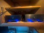 Amp camp amps, Ophalen of Verzenden, Stereo, Overige merken
