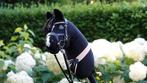 Hobbyhorse nipsus, Ophalen of Verzenden, Zo goed als nieuw