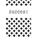 Succes! kaart bij Stichting Superwens!, Ophalen of Verzenden, Nieuw