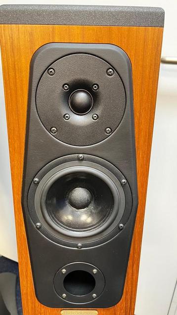 AudioSolutions Rhapsody 60 + Stands beschikbaar voor biedingen
