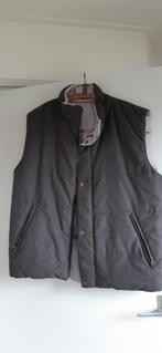Grijze/bruine  bodywarmer, Ophalen, Zo goed als nieuw, Maat 42/44 (L), Grijs