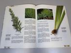 Handboek kruiden — Kweken & oogsten — Rijk geïllustreerd, Boeken, Ophalen of Verzenden, Gelezen, Overige onderwerpen, Achtergrond en Informatie