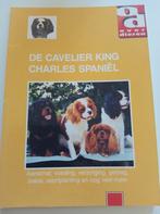 Cavalier King Charles Spaniel, Gelezen, Honden, Ophalen of Verzenden