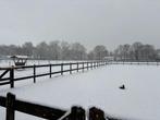 Stal te huur, Weidegang, 2 of 3 paarden of pony's