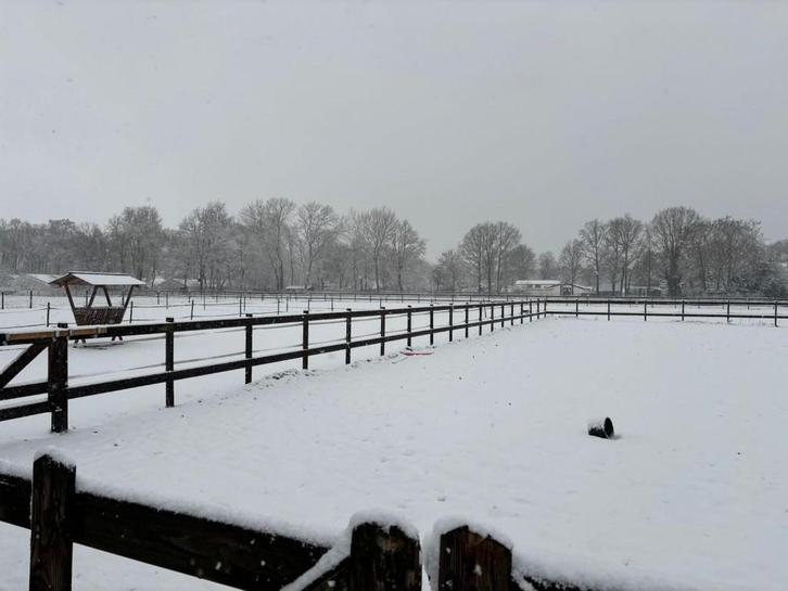 Stal te huur, Dieren en Toebehoren, Stalling en Weidegang, Stalling, Weidegang, 2 of 3 paarden of pony's