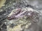 Kermesiet - Pezinok, Slowakije, Ophalen of Verzenden, Mineraal