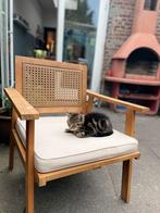 Wie o wie geeft mij een nieuw huisje?, Dieren en Toebehoren, Katten en Kittens | Raskatten | Korthaar, Geslacht onbekend, 0 tot 2 jaar