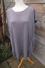 Jurk/ Tuniek grijs Paprika mt t4 (50) Vaste prijs, Kleding | Dames, Jurken, Maat 46/48 (XL) of groter, Ophalen of Verzenden, Zo goed als nieuw