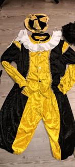 Pietenpakken set: volwassenen kostuums, pruiken, accessoires, Ophalen of Verzenden, Gebruikt, Jongen of Meisje