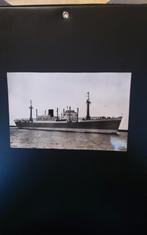 Foto m.s. BLITAR - Koninklijke Rotterdamsche Lloyd, Verzamelen, Ophalen of Verzenden, Zo goed als nieuw