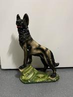 Herdershond Groot Beeld, Ophalen, Dier