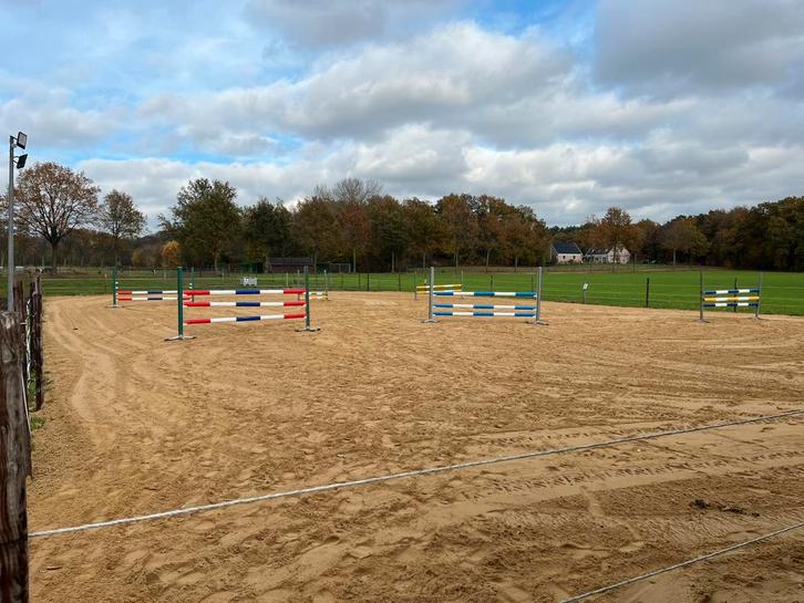 Te huur paardenstalling, Dieren en Toebehoren, Stalling en Weidegang, Weidegang