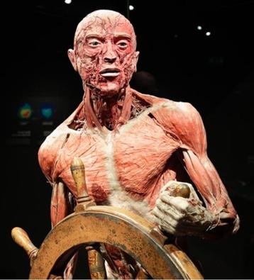 Toegang Bodyworld Amsterdam  beschikbaar voor biedingen