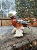 GOEBEL mooie vogel ❤️ Buckvink Boekvink, Ophalen of Verzenden, Zo goed als nieuw, Dier