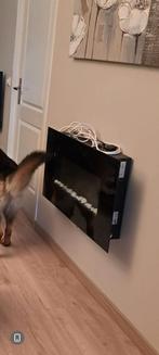 Elektrische sfeerhaard, Ophalen, Zo goed als nieuw, Vrijstaande haard, Elektrische haard