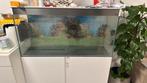 Aquarium, Ophalen of Verzenden, Zo goed als nieuw, Leeg aquarium