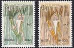 Belgie 1963 - OBP 1251-1252 - 8 mei beweging voor de vrede, Postzegels en Munten, Postzegels | Europa | België, Verzenden, Frankeerzegel