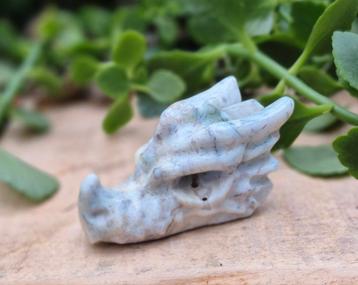 Oceaan Jaspis drakenschedel  beschikbaar voor biedingen