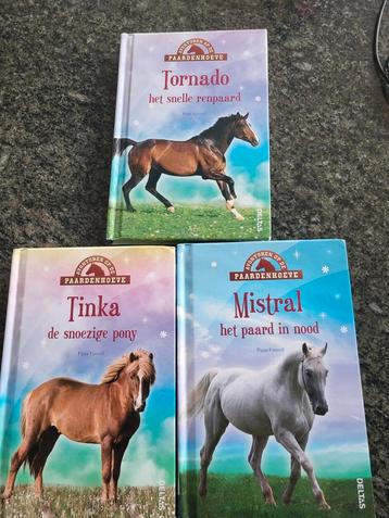 3 leuke paarden leesboeken beschikbaar voor biedingen