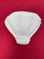 Wand bloemen-/planten-/waterbak, Ophalen of Verzenden