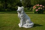border collie tuinbeeld, Ophalen, Dierenbeeld, Www.bossewinkel.nl, Www.bossewinkel.nl
