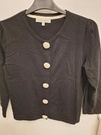 Vestjes en twinset, Kleding | Dames, Ophalen of Verzenden, Zo goed als nieuw, Grijs