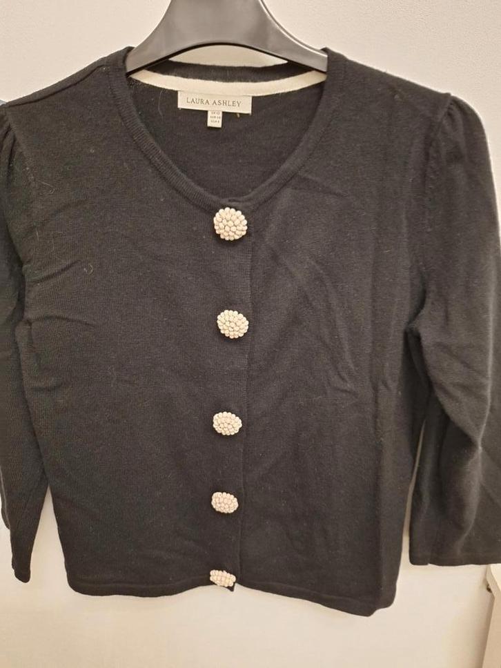 Vestjes en twinset, Kleding | Dames, Truien en Vesten, Zo goed als nieuw, Grijs, Ophalen of Verzenden