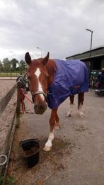 Bucas Recuptex turnout 150 (maat 145, 6,6"), Dieren en Toebehoren, Ophalen, Zo goed als nieuw