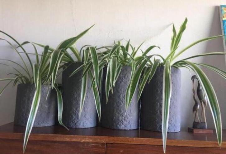 Vintage terracotta keramische bloempotten kamerplanten, Tuin en Terras, Bloempotten, Zo goed als nieuw, Overige materialen, Binnen