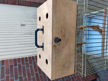 Vogelkistje  beschikbaar voor biedingen