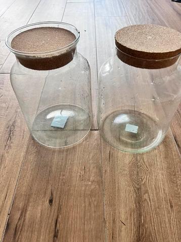 Terrarium beschikbaar voor biedingen